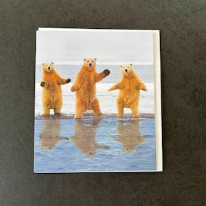 Tarjeta de felicitación de osos polares bailando / Tarjeta divertida de animales / Interior en blanco / Tarjeta premium de vida silvestre ártica / Lindo regalo de papelería de oso