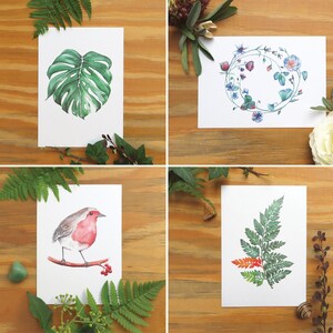 Postkarten-Set Floral Rotkehlchen Blumen Blumemkranz Monsterablatt Farnblatt Farn Natur Postkarte Grußkarte Hochzeit Geburt Geburtstagskarte