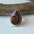 Ammonite Fossil Ring, 925 Sterling Silver, Handmade Ring, Gemstone Ring, Pear Shape Designer Ring, Unique Ring, Pretty Ring, Gifts For Love product logo