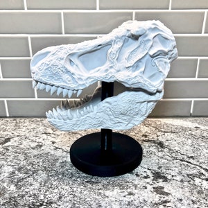 T-Rex Skull with Display Stand: 3D Printed Dinosaur Decor