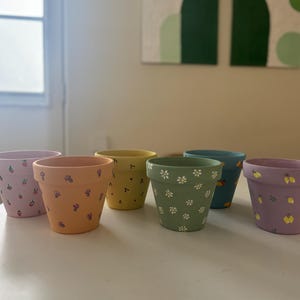 Hand Painted Clay Pots