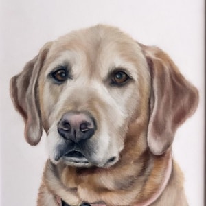Custom dog portrait from photo - Hand painted pastel pet art - Made to order gift for pet lovers & memorial keepsake