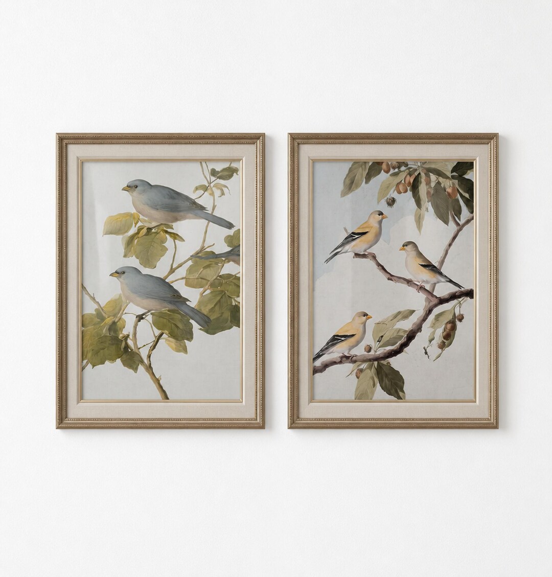 Vintage Botanical Bird Art Set of 2, Antique Gallery Wall Prints ...