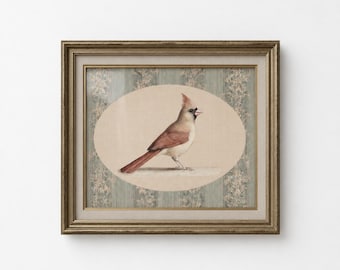 Country Cardinal Art Print, Vintage Bird Illustration, Neutral Wall Art, Farmhouse Nursery Art