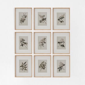 ヴィンテージ植物画9枚セット、ニュートラルなギャラリーウォールアート、ソファ上の壁掛けアート