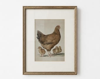 May include: A framed watercolour print depicting a brown hen and four chicks. The hen has a red comb, and the chicks are small and fluffy. The artwork is presented in a gold-coloured frame.
