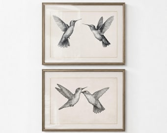 May include: Two framed prints featuring pencil drawings of hummingbirds. Each print shows two hummingbirds in flight, with detailed wings and beaks. The frames are a warm, neutral color, and the background is a soft, off-white.