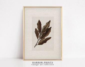 Vintage Leaf Print, Rustic nature Sketch, Winter Vintage Wall Decor, Scientific Illustration Drawing, Neutral Wall Decor, Digital Printable