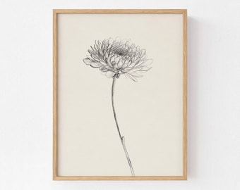 Minimalist Chrysanthemum Sketch Wall Art, Vintage Bloom Illustration, Minimalist Wall Decor, Bedroom Wall Decor