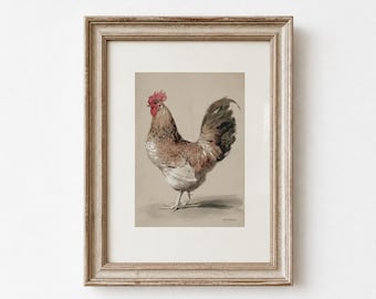 Puede incluir: Impresión en acuarela enmarcada de un gallo. El gallo tiene plumas marrones, blancas y grises, una cresta y una barbilla rojas y una cola oscura. La obra de arte está sobre un fondo neutro y enmarcada en un marco de madera de color claro.