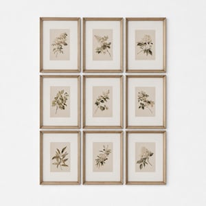May include: A gallery wall arrangement of nine vertical rectangular frames with light wood borders. Each frame contains a beige mat and a botanical illustration of various plants, leaves, and flowers rendered in muted brown and green tones.