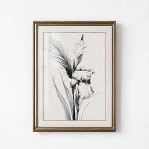 May include: A framed wall art print featuring a black and white botanical illustration of an iris flower and a tall blade of grass. The artwork is encased in a metallic gold frame with a wide off-white matting, creating a clean and focused display.
