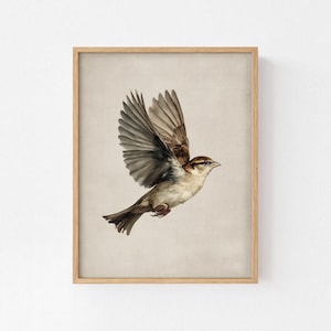Akwarelowy wydruk wróbla – rustykalna sztuka ptaków w stylu vintage (do pobrania cyfrowego)