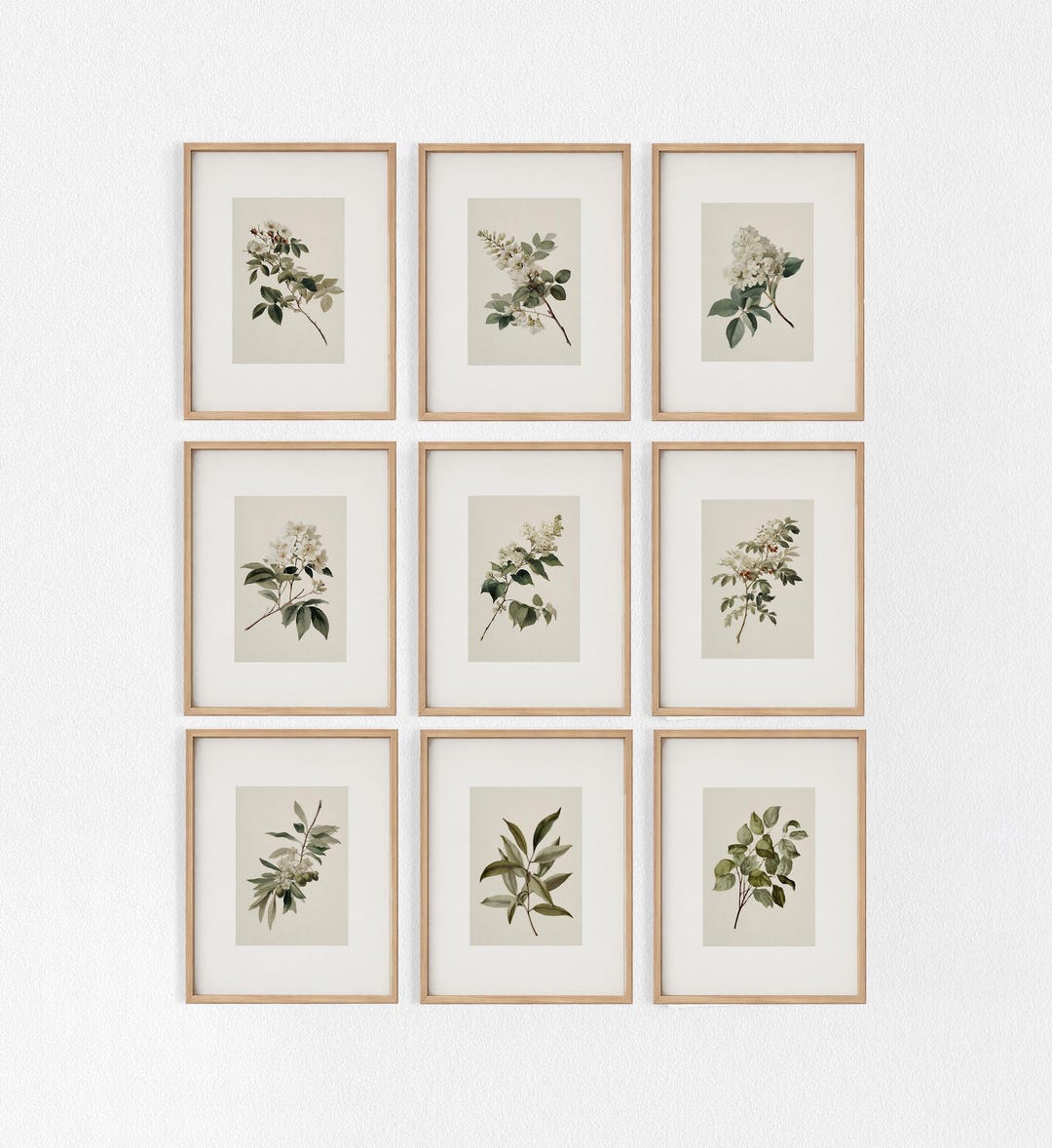Vintage Botanical Prints Gallery Wall Set, Natural History Plant Art ...