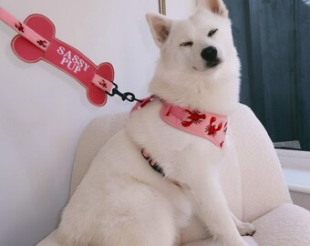 Embroidered Faux Leather Dog Lead Sleeve: Water Resistant, Custom Safety Sign