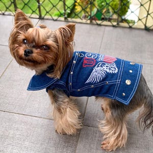 Boy Dog Clothes Etsy