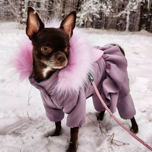 Warmer Hund Schneeanzug - Winter Hundebekleidung, Haustiermantel, handgefertigte Yorkie Jacke, Luxus Chihuahua Overall