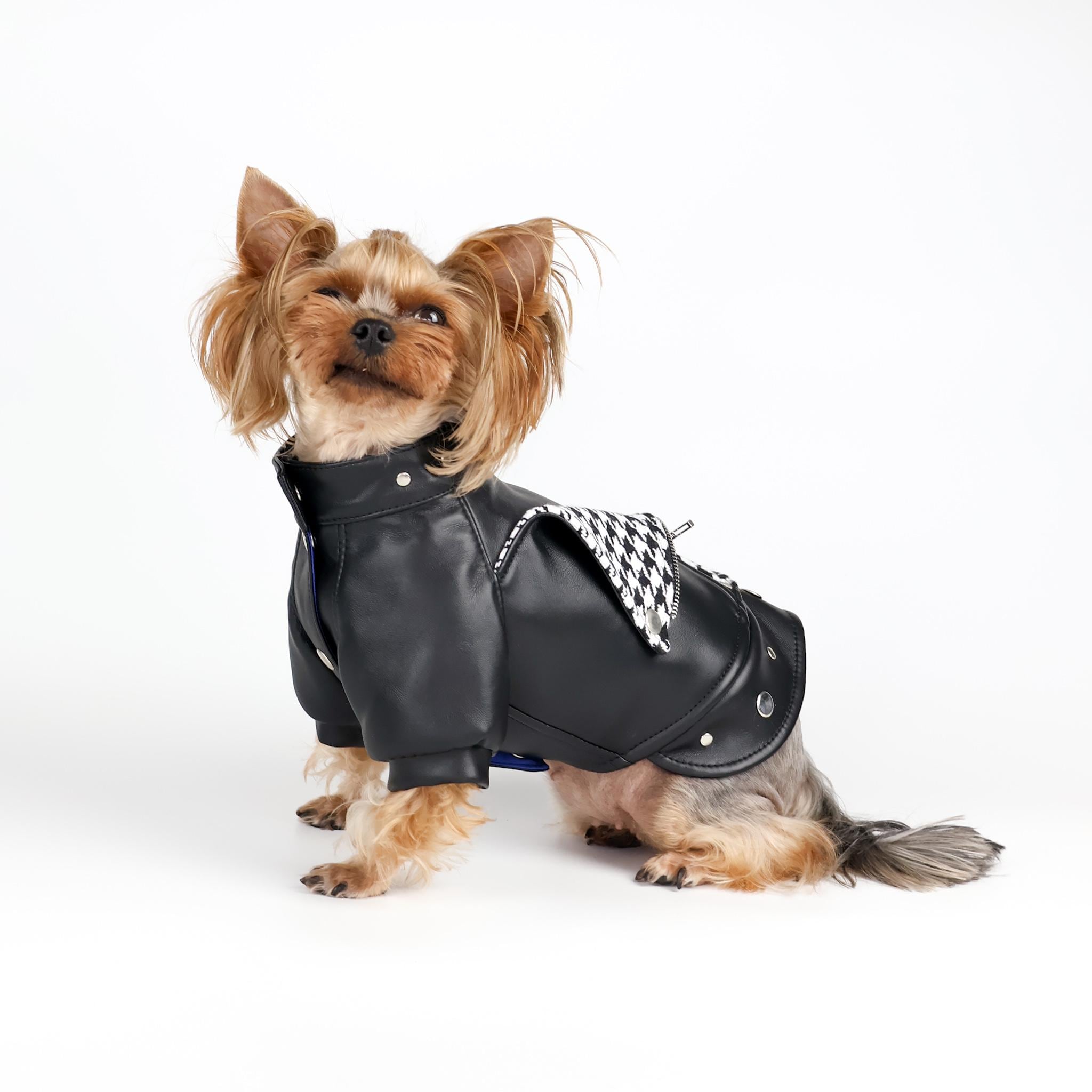 Dog Jacket Dog Coat Designer Small Dog Clothes Biker Pet