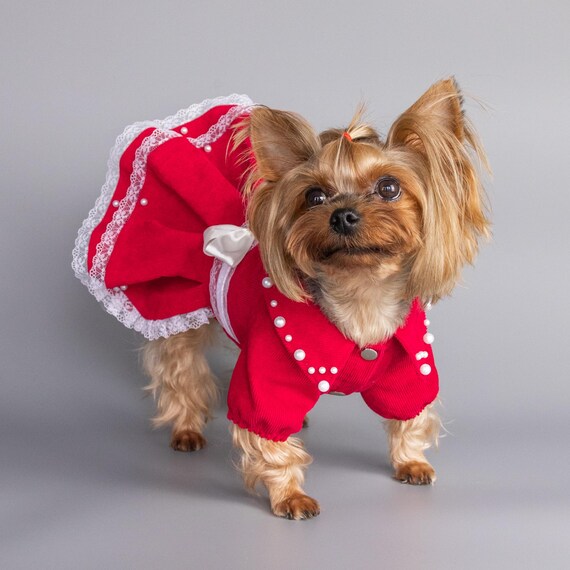 Red Dog Birthday Dress Designer Clothes for Small Dogs Christmas Pet Outfit  Yorkie Chihuahua - Etsy