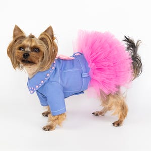 Dog Dress Designer Small Dog Clothes Puppy Clothes for Dogs Handmade Chihuahua Yorkie Clothing Denim Pet Outfit Girl Dog Jacket Luxury Dog