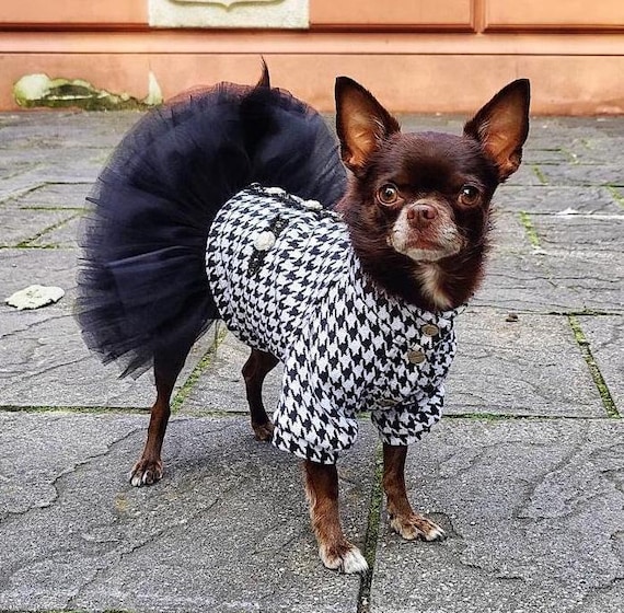 Dog Coat Dog Dress Designer Dog Clothes Handmade Dog Clothes Cute