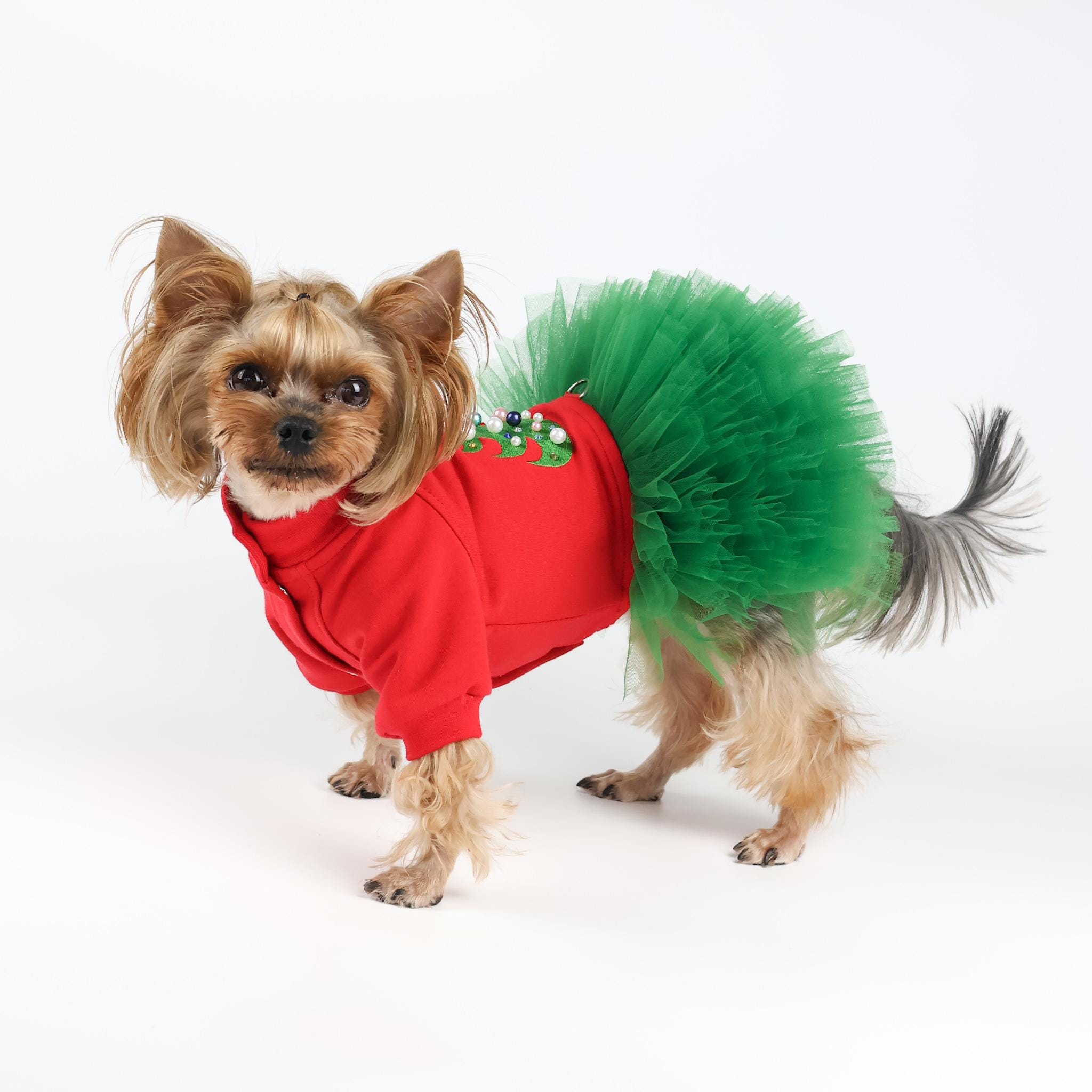 Costume De Noël Pour Chien Avec Cape Et Bois - Toutes Tailles (petite, Moyenne, Grande) - Velours Doux Intérieur/extérieur