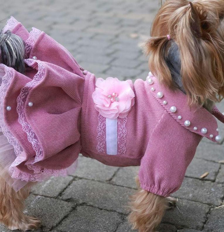 Pet Clothes Baby Girl Dog Clothes Dog Dress, Designer Small Dog Clothes,  Pet Clothes, Chihuahua Girl