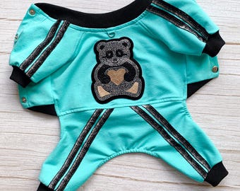 May include: A turquoise blue dog jumpsuit with black trim and a sparkly black stripe down each leg. The jumpsuit has a black collar and a rhinestone bear applique on the front.