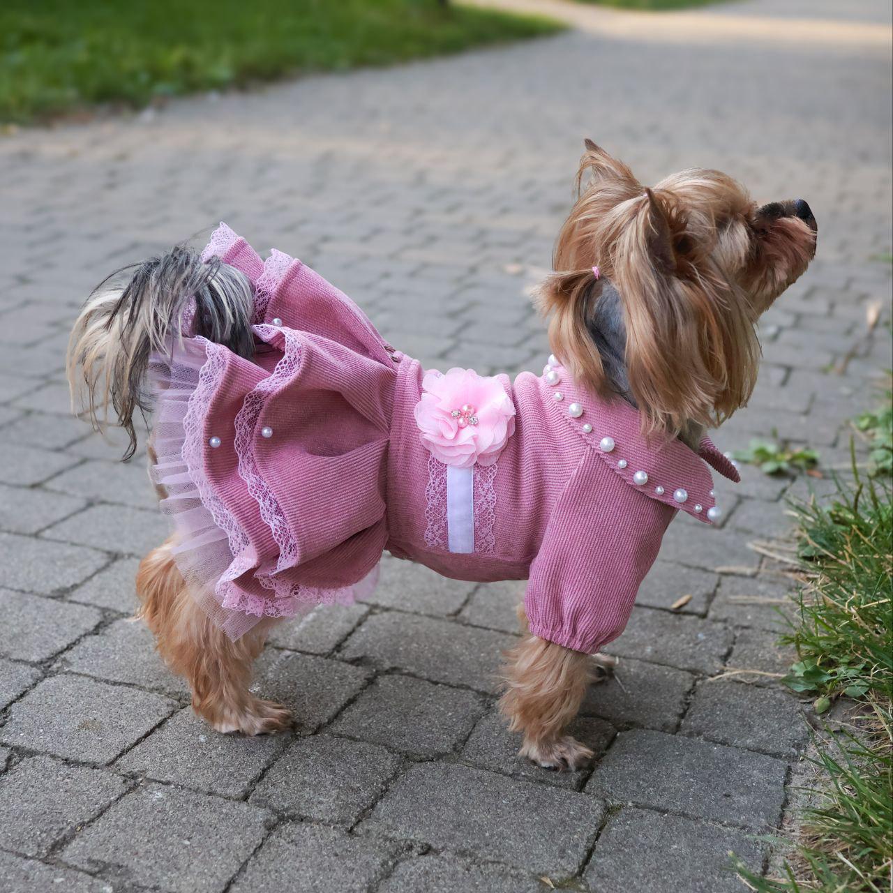 Dog Dresses For Christmas Cute Pink Sleeveless Dog Dress With Bow - Summer  Clothes For Small Dogs & Cats, Chihuahua Yorkie Outfit Dog Dress For Small  Dogs