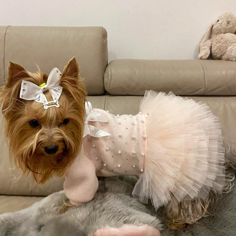 Jersey Girl Dog Dress Cute Dog Hoodie Fancy Pet Sweatshirt Warm Dog