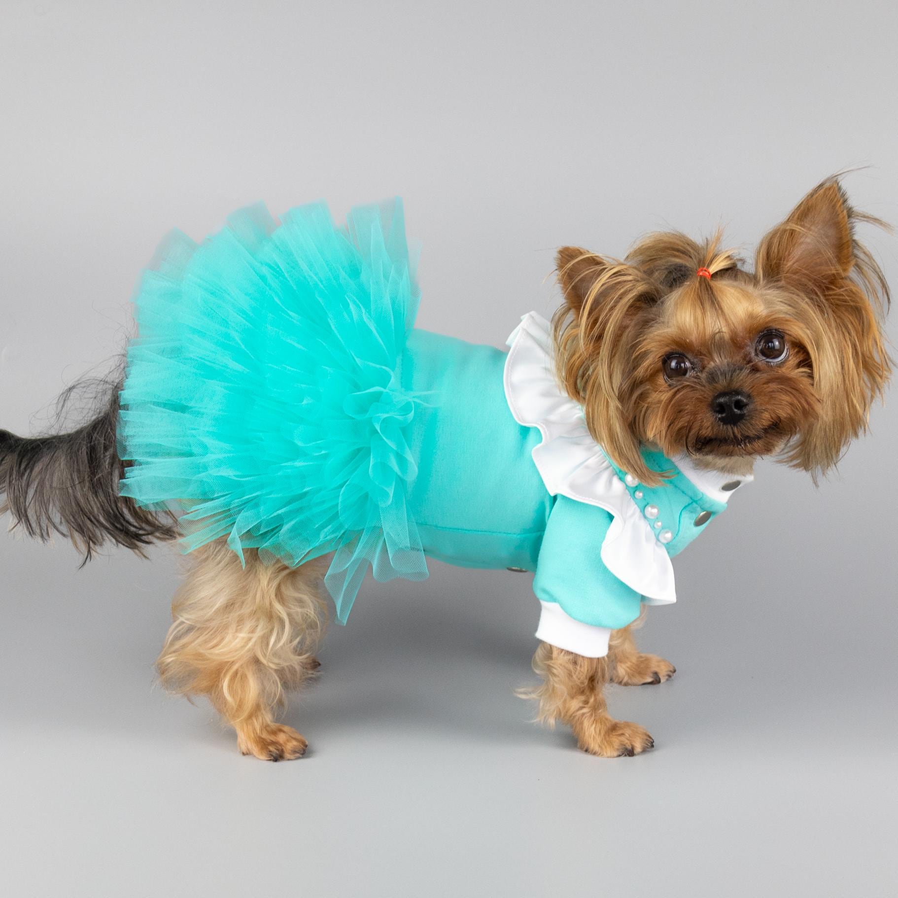Vestidos elegantes para perros: ropa de diseño para mascotas, ropa