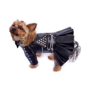 犬服・アクセサリー work clothes for dogs 71iBRaz5QXL._UF350,350_QL50_.jpg