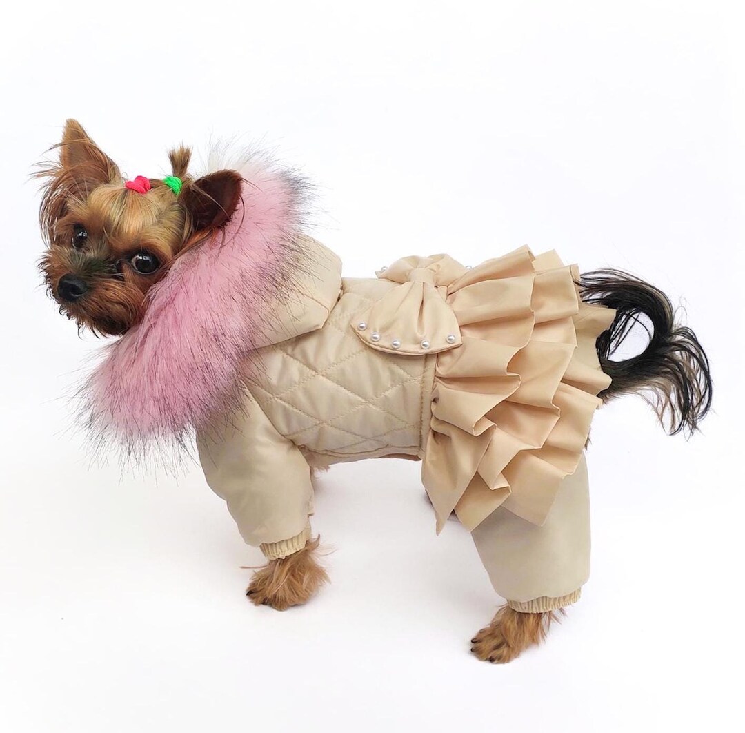 Winter-Jumpsuit Für Kleine Hunde – Wasserdichter, Gepolsterter Schneeanzug Für Chihuahua, Yorkie & Co.