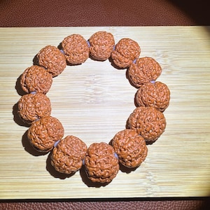 5 Mukhi Nepal Rudraksha Bodhi Seed Meditation Prayer Beads Mala Bracelet, 22×18mm Five Faces Rudraksha Bracelet 五瓣金刚菩提子手串 蜂窝双龙