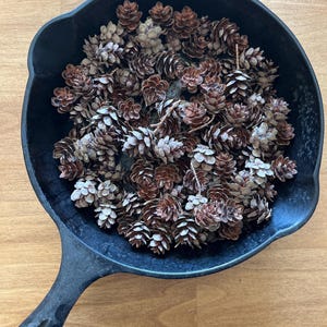 May include: A black cast iron skillet filled with small, dried pine cones. The pine cones are various shades of brown and tan, with some having a frosted appearance. The skillet sits on a light brown wooden surface.