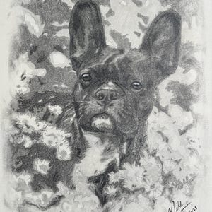 French Bulldog Portrait | Hand Drawn Graphite Pencil Illustration | Animal Drawing | Pet Sketch | Home Decor | Animal Lover Gift Decoration
