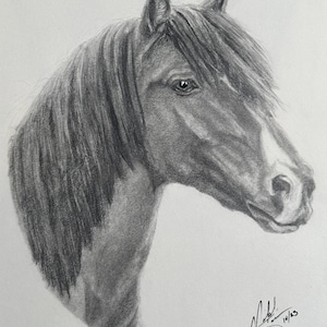 Original Hand Drawn Horse Portrait | Graphite Pencil Illustration | Animal Drawing | Pet Sketch | Home Decor | Perfect Gift | Fast Shipping!