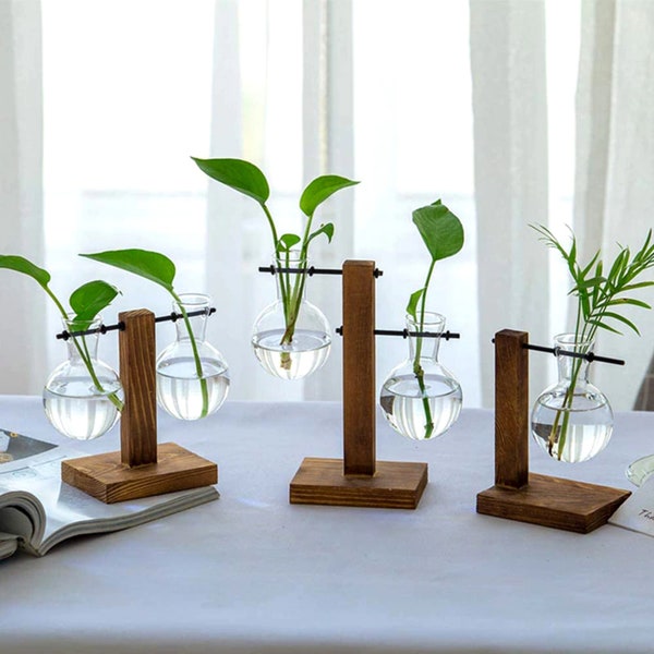Hydroponic Bulb Vase Etsy