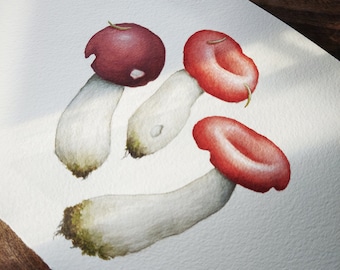 Original Mushroom Painting - Russula