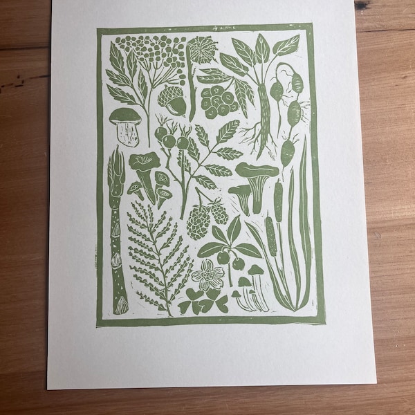 Forrageamento no Maine