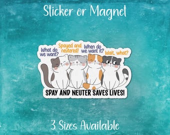 Op de afbeelding: Een sticker of magneet met vier cartoonkatten met de tekst "Gesteriliseerd en gecastreerd! Wat willen we? Wanneer willen we het? Wacht, wat?" en "STERILISATIE EN CASTRATIE REDT LEVEN!"