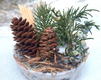 Evergreen Fire Starters or Tiny Fresh Arrangements