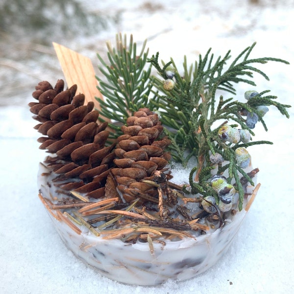 Evergreen Fire Starters or Tiny Fresh Arrangements