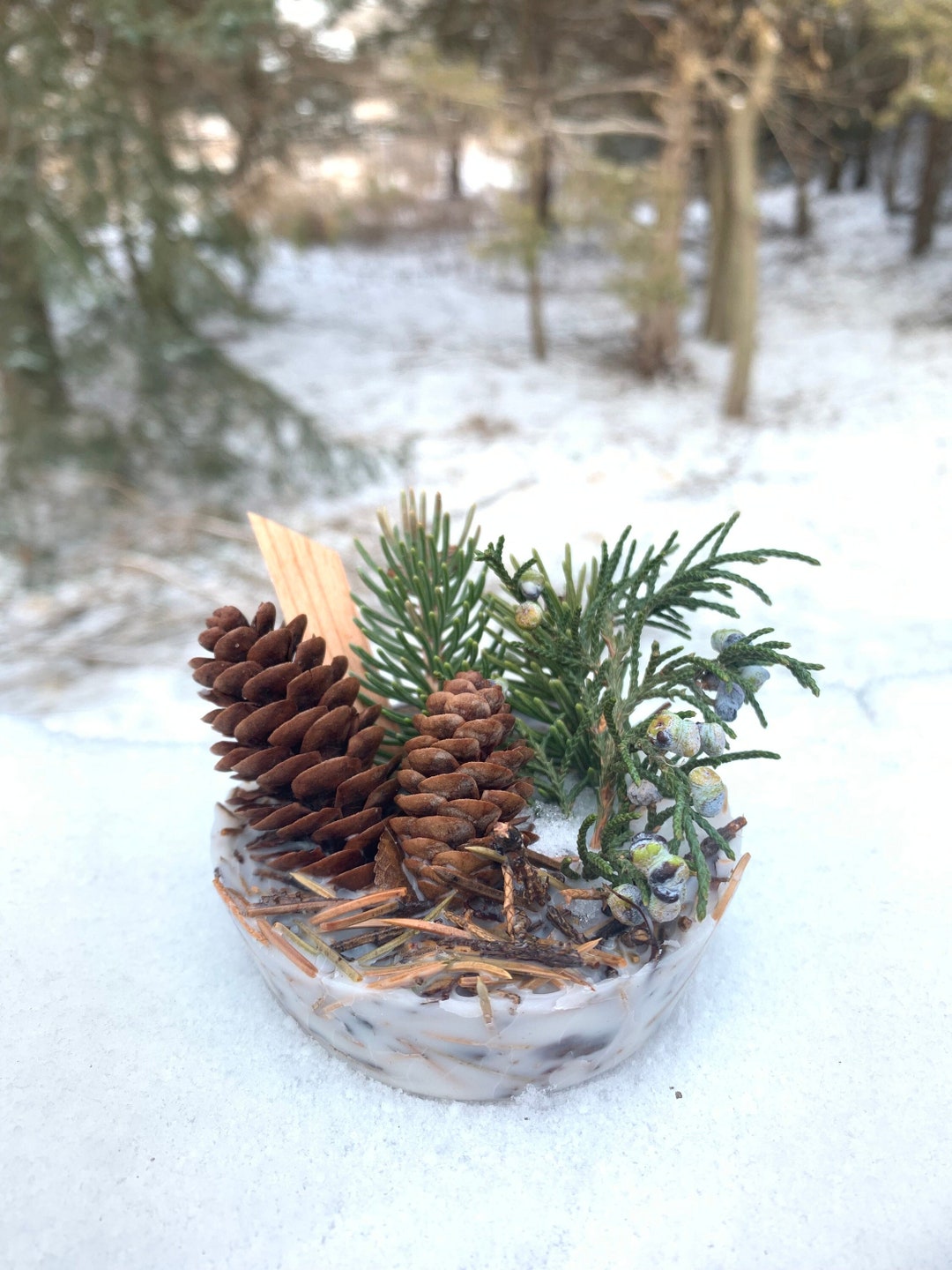 Evergreen Fire Starters or Tiny Fresh Arrangements Etsy