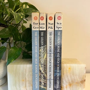 May include: Four vintage encyclopedias, volumes 7, 11, 13, and 16, are displayed upright. The books are in a row, with titles including "Eur Geo Mir" and "Nut Pik Spo." They are held in place by a light-colored, rectangular bookend. The books are from "The Golden Home and High School Encyclopedia."