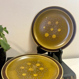 May include: Two ceramic plates with a daisy pattern. The plates have a yellow-green centre with a brown border and a brown rim. The daisy design features yellow centres and brown petals. The plates are displayed on a black stand and a book.
