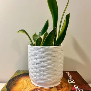 May include: A white ceramic planter with a textured basket-weave pattern containing a snake plant with upright, pointed green leaves featuring yellow edges. The planter sits atop a book with a portrait of Diego Rivera on the cover.