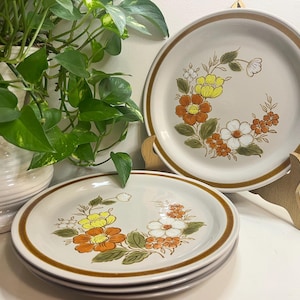 Platos de cena vintage - Colección Mountain Wood Gres Trellis Blossom - Fabricado en Japón - Juego de 4
