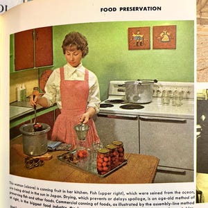 May include: A vintage illustration depicts food preservation. A person in a pink apron is canning fruit in a kitchen. Jars of preserved fruit sit on a tray. The kitchen has a green wall and a vintage stove.