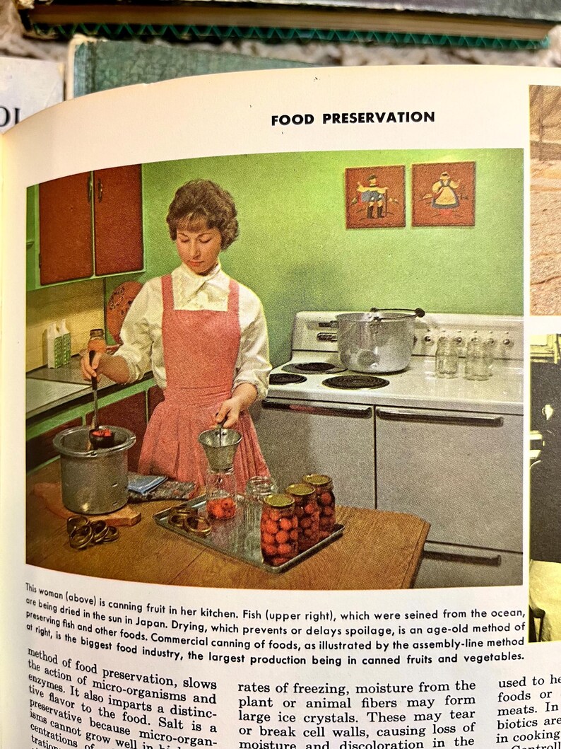 May include: A vintage illustration depicts food preservation. A person in a pink apron is canning fruit in a kitchen. Jars of preserved fruit sit on a tray. The kitchen has a green wall and a vintage stove.